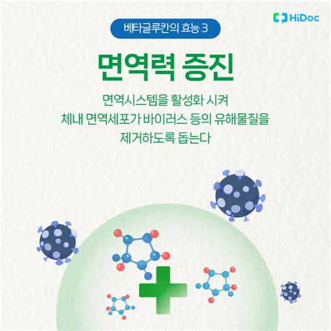 베타-글루칸 효능